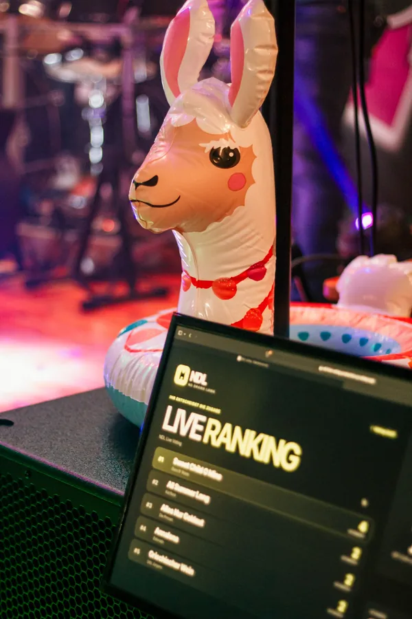 Ein Detail von der No-Drama-Lama-Bühne